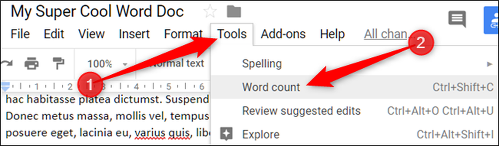 Google docs viewer url