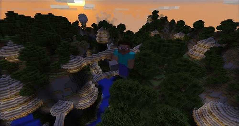 Minecraft Infinity Village.