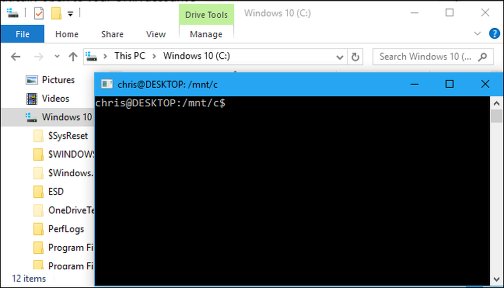 Bash открыть файл. Swindo. How to Call Bash in Windows.