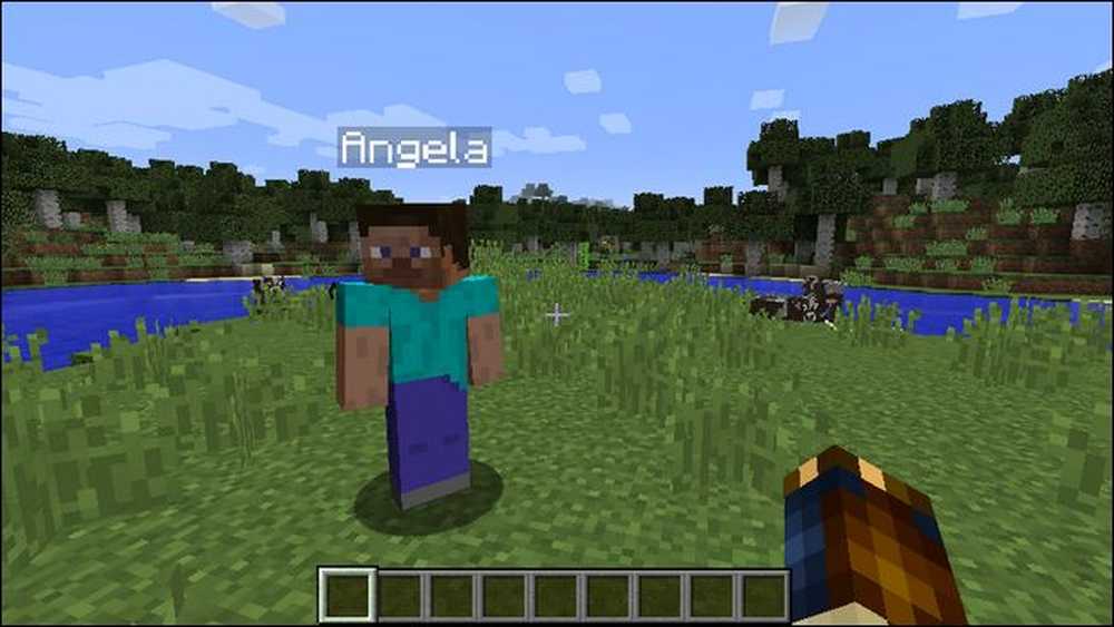 Minecraft отключили. Майнкрафт многопользовательская игра. Стив по английски. Жаклин майнкрафт. Имя Стив по английскому
