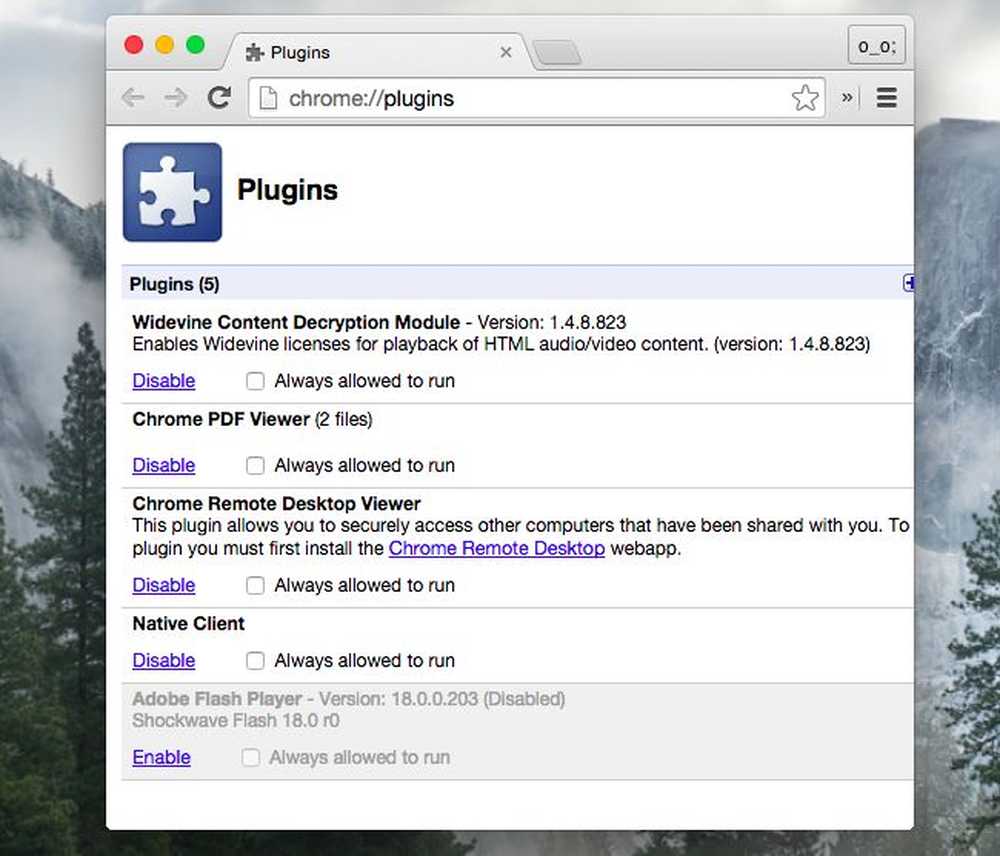 Allow plugins. Плагин в браузер для веб камера. Браузер с поддержкой Flash Player. Chromium Blink. Hrom x maipl.