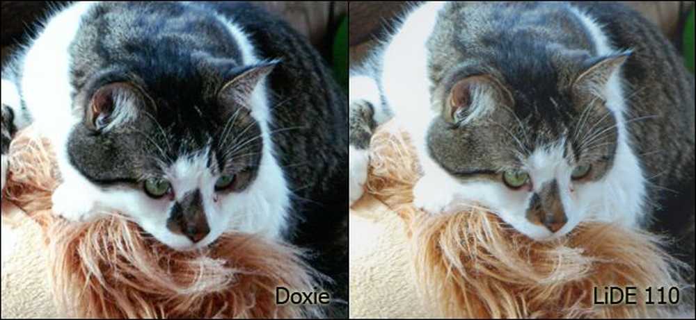Doxie Chat