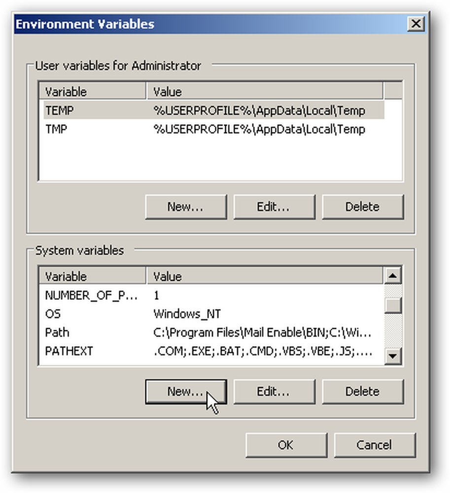 C environment variables